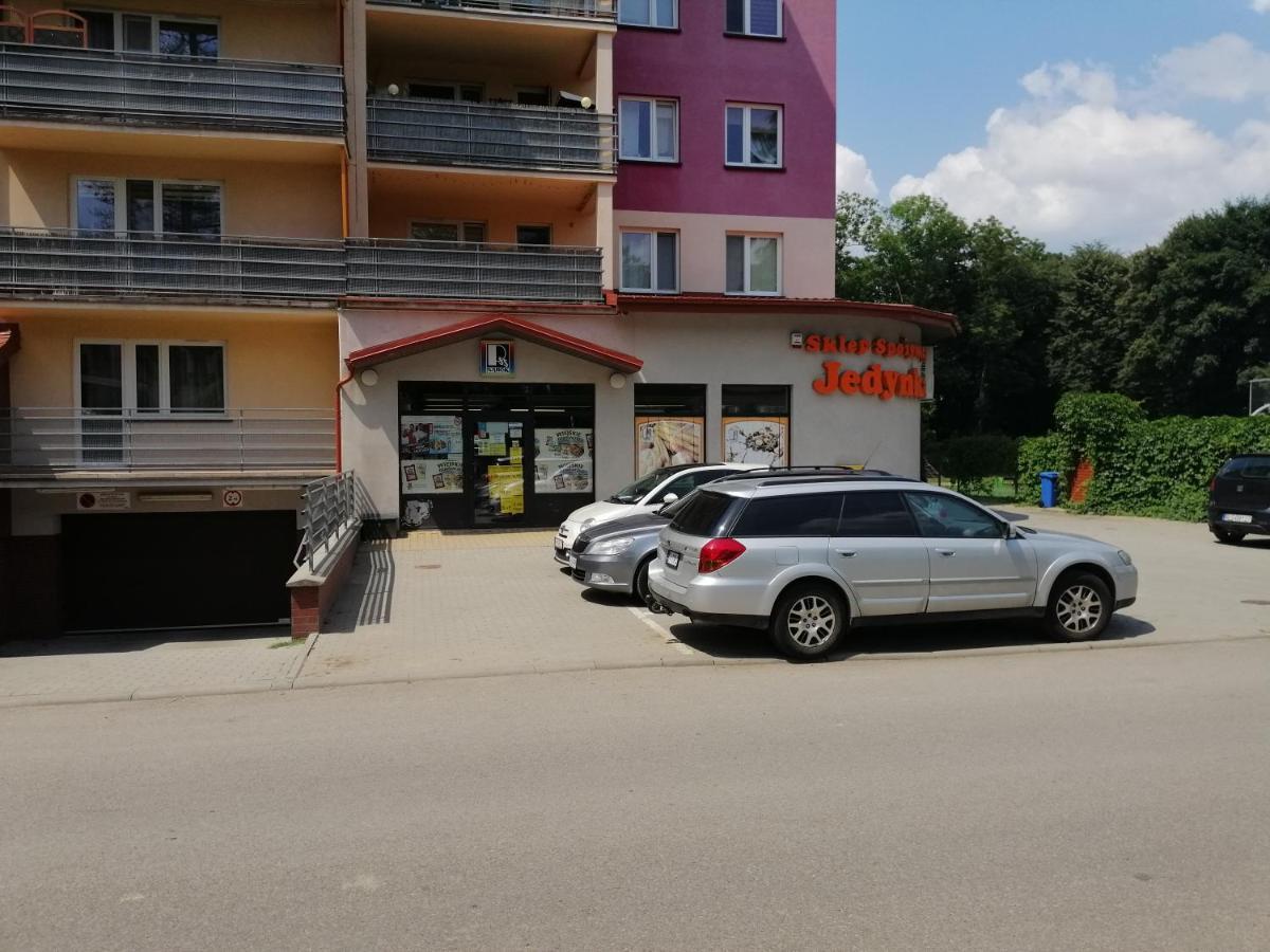 Apartament Witkiewicza 萨诺克 外观 照片